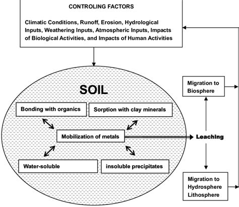 Equilibrium Of Metal Mobility In Soil And Migration To Hydrosphere