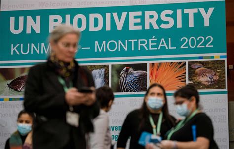 The Main Points Of The Cop15 Agreement On Biodiversity The Limited Times