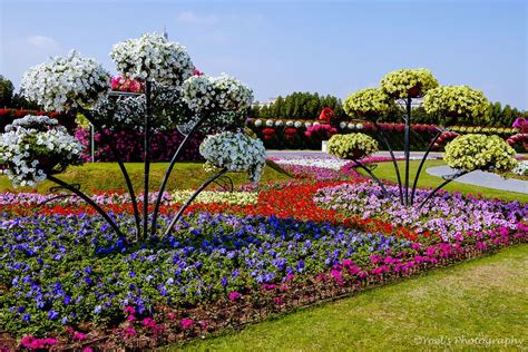 Beautiful Flower Gardens Near Me Beautiful Insanity