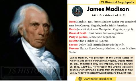 Interesting Facts About James Madison Ts Historical