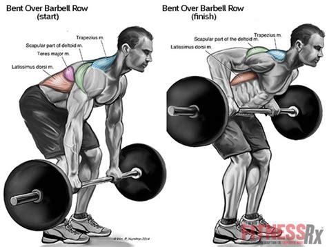 Barbell Row