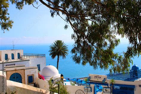 Sidi Bou Said Tunisie le jour ensoleillé destination de voyage