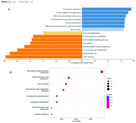 Gene Enrichment Analysis A Gene Set Enrichment Analysis Of All Degs