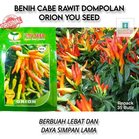 Jual Benih Cabe Cabai Rawit Dompolan Orion Isi Butir Repack You Seed