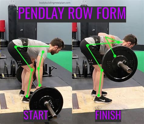 Pendlay Row vs Bent Over Barbell Row For Building A Broader Back ...