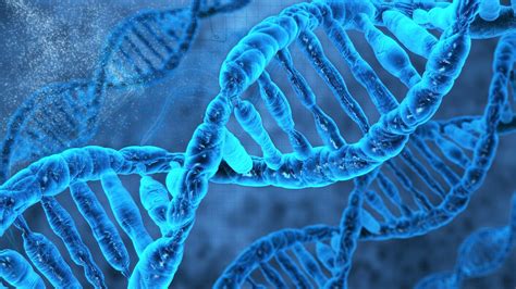 What Top Scientists Are Saying About The Anon IB Archive And The Future Of Genetic Engineering Image 17