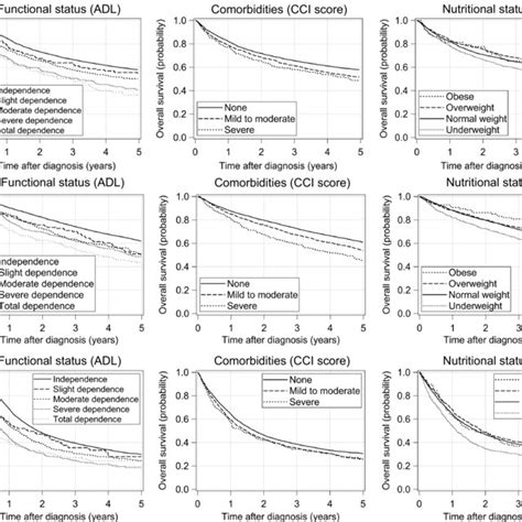 Adjusted Overall Survival Curves For Functional Status Cci Score And