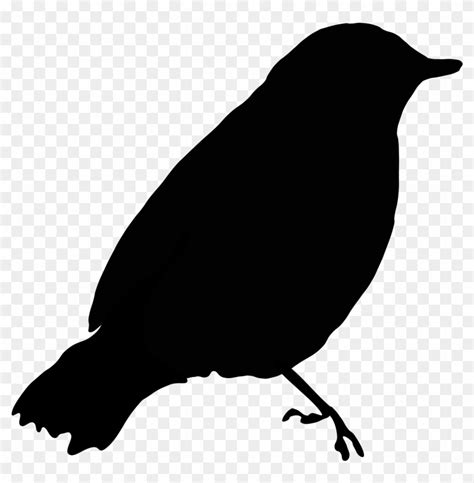 Clipart Of Black Bird Image Blackbird 1 Clip Art At - Draw A Black Bird ...