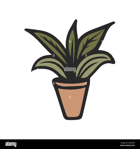 House Plant In Pot Hand Drawn Vector Cartoon Doodle Icon On White