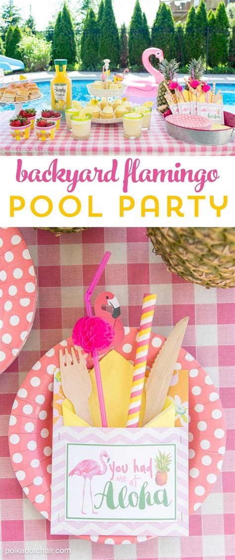 summer backyard flamingo pool party ideas recipe flamingo pool