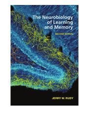 Neurobiology Of Learning And Memory Insights Methods Course Hero