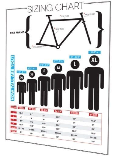 Road Bike Frame Sizes - Find & Fit The Right Bicycle for You