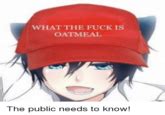 What The Fuck Is Oatmeal Know Your Meme