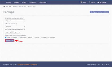 Crear Copias De Seguridad Autom Ticas En Ferozo Dhm Cloud Server