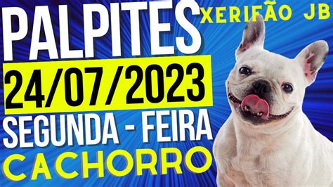 Palpite Do Xande JB Para Jogo Do Bicho Quarta Feira 31 07 2024