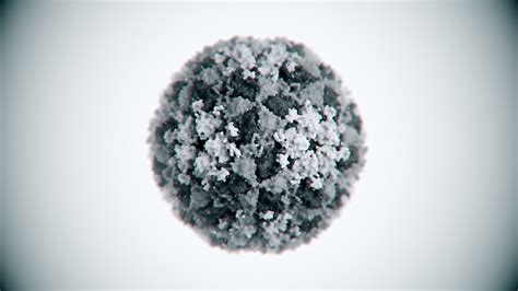 Picornaviruses — ANATOMYBLUE