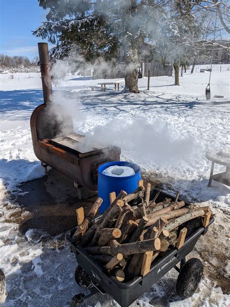 Making maple syrup – Fernwood Flower Farm