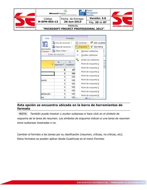 Manual Microsoft Project Professional PDF