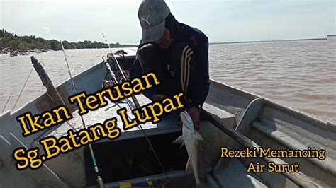 Rezeki Memancing Air Surut Ikan Terusan Sungai Batang Lupar Youtube