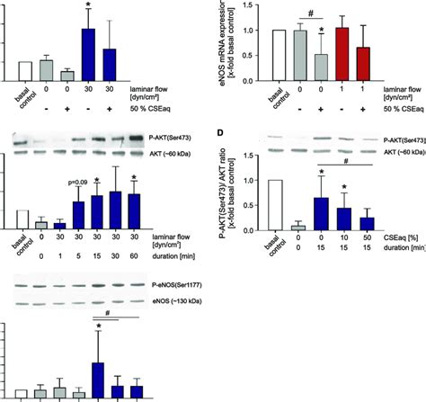 Protective activation of PI3K/AKT/eNOS signaling pathway by high ...