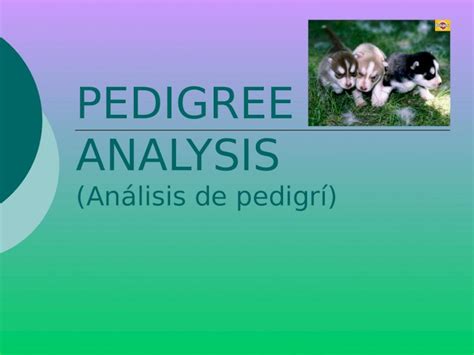 Ppt Pedigree Analysis An Lisis De Pedigr Pedigree Analysis