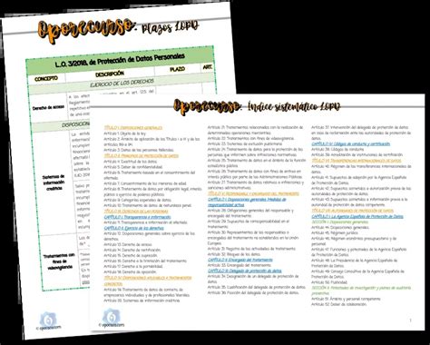 Apuntes LOPD Oposiciones 2025 BOE