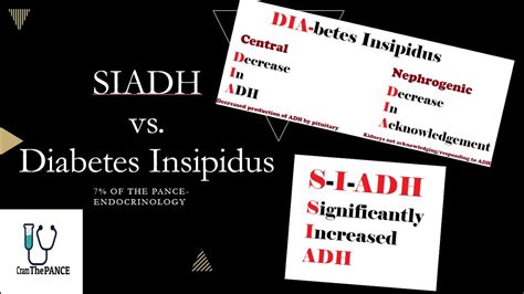 SIADH Vs Diabetes Insipidus PANCE Review YouTube