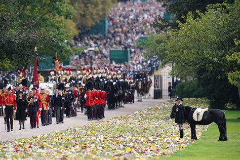 Ceremony and sorrow: Queen Elizabeth II's funeral in pictures