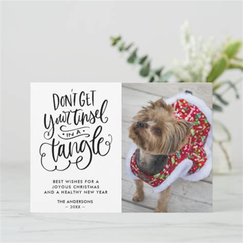 Funny Dog Pet Photo Typography Christmas Holiday Card | Zazzle