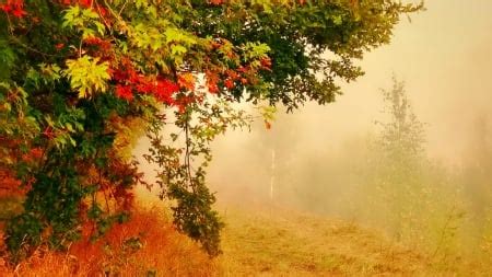 September - Other & Nature Background Wallpapers on Desktop Nexus ...