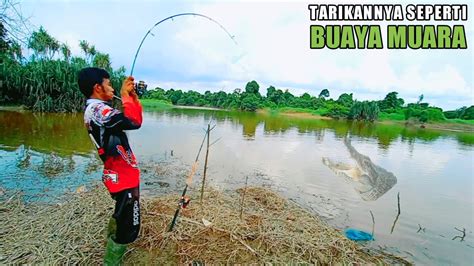 SUNGAI ANGKER YANG DI HUNI IKAN BESAR YouTube