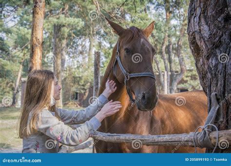 Cute Girl Feeding Her Horse In Paddock Stock Image Image Of Happy