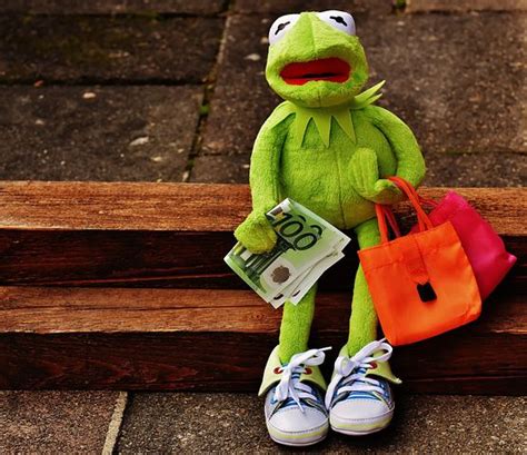 500 Free Kermit And Frog Images Pixabay