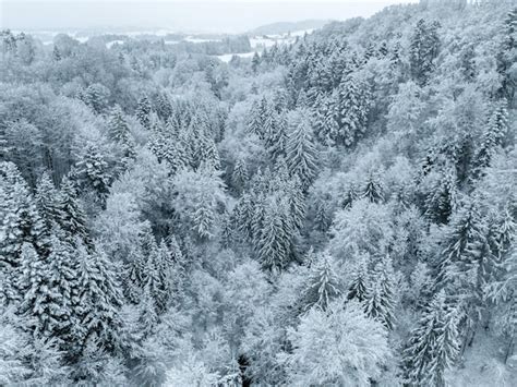 Premium Photo | Aerial view of snow covered forest in winter in switzerland, europe. rural ...