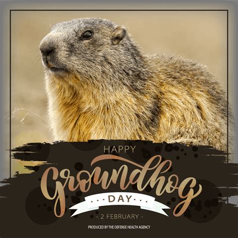 Groundhog Day 2023: How To Watch Groundhog Day 2023 - ABTC