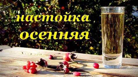 Настойка на самогоне "Осенняя" - YouTube