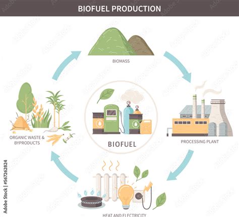 Biofuel Production Infographics Scheme Stock Vector | Adobe Stock