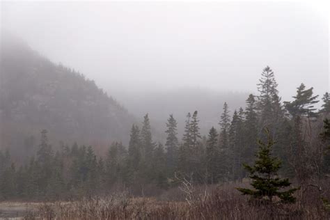 Foggy Mountain Valley • Free Nature Stock Photo