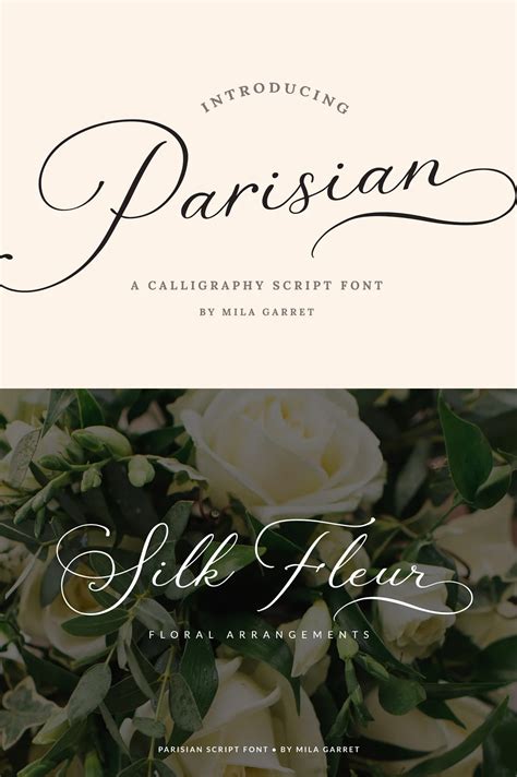 Parisian Vintage Calligraphy Script - Siteoutsite