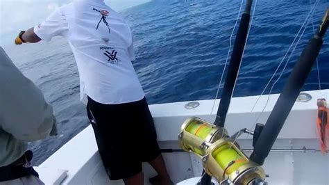 Chasing Sailfish Youtube