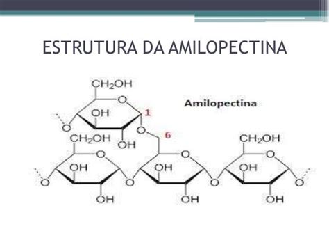 Amido Na PanificaÇÃo