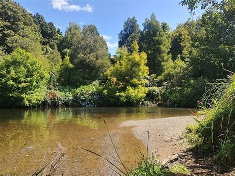 Land, Air, Water Aotearoa (LAWA) - Patea River at King Edward Park ...