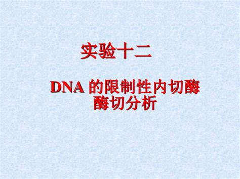 DNA 的限制性内切酶酶切分析 word文档在线阅读与下载 无忧文档