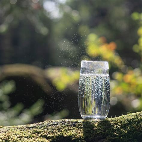 Un Vaso De Agua Potable En El Contexto De Un Bosque En Verano Foto