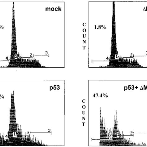 Mekk Stimulates P Mediated Apoptosis In Cells Cells Were