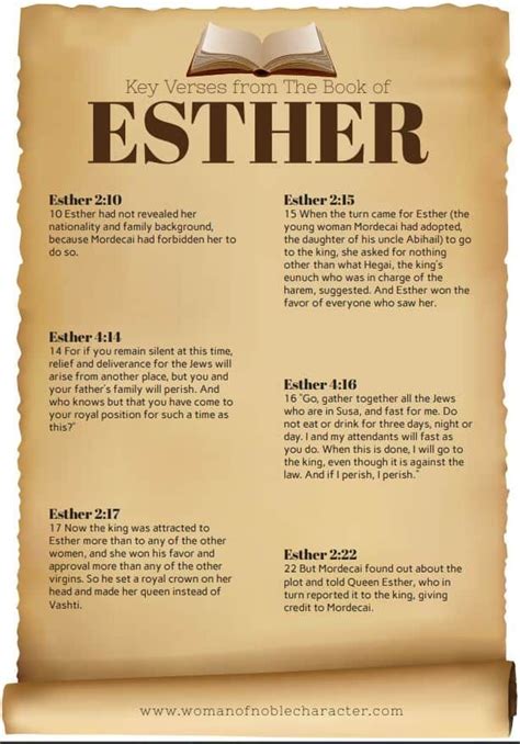 words  describe esther   bible