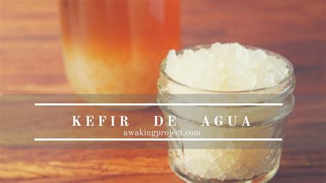 Kefir de AGUA - Awaking Project