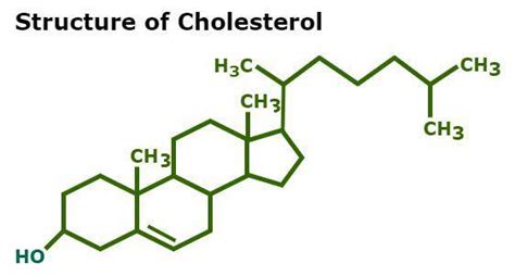 Structure Of Cholesterol Labeled