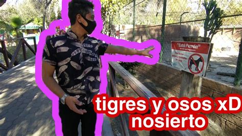 Existe El Oso En El Parque Morelos Vlog Tijuana Jsjs XD YouTube