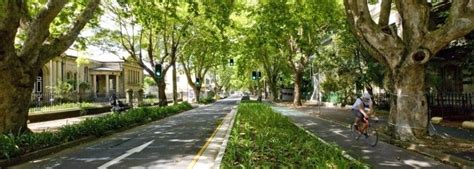 Bourke St Surry Hills City Of Sydney Surry Hills Green Street